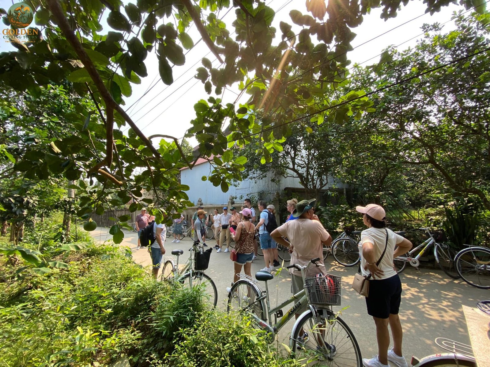 Half-Day Biking to Thuy Bieu Village: Garden Houses & River Cruise